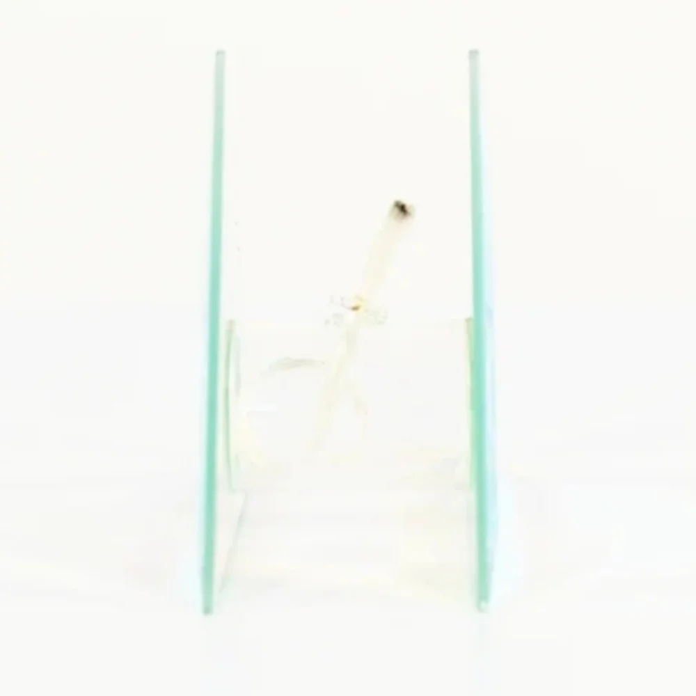 Light Catching Oil Diffusers⚓